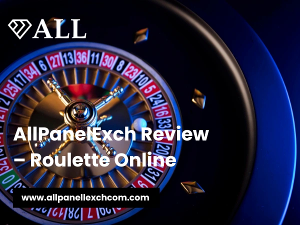 AllPanelExch Review – Roulette Online